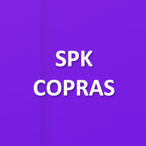 Aplikasi SPK Metode COPRAS